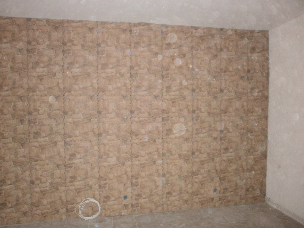 P9140102.JPG