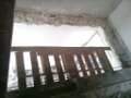 CAM_0233